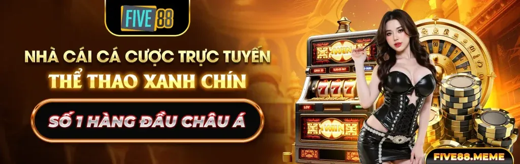 Phân tích thống kê để đưa ra quyết định cá cược tại yolo68